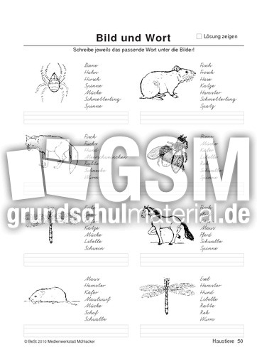BuW Haustiere50.pdf